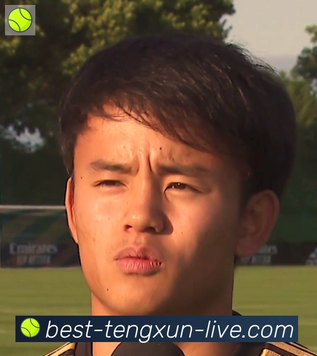 维尼修斯